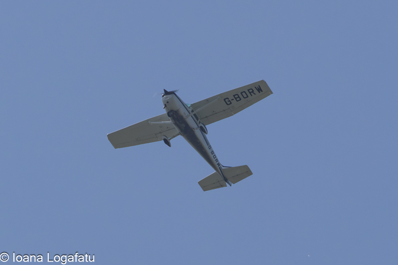 Vintage aircraft soars high above a clear sky